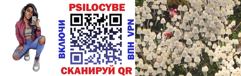 наркота  Сухиничи  Галлюциногенные грибы Psilocybe 